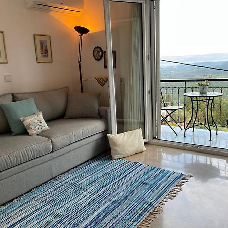 Schoenes Familienappartement In Pelekas, Corfu Mit Meerblick المظهر الخارجي الصورة